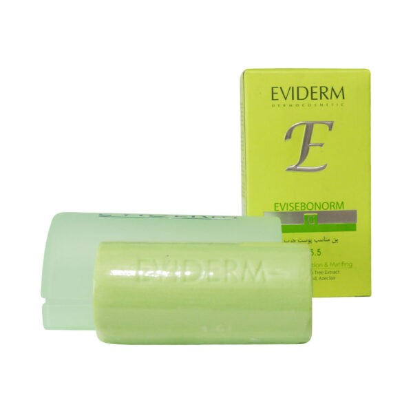 Eviderm-Evisebonorm-Oily-Skin-Pain-100-g..